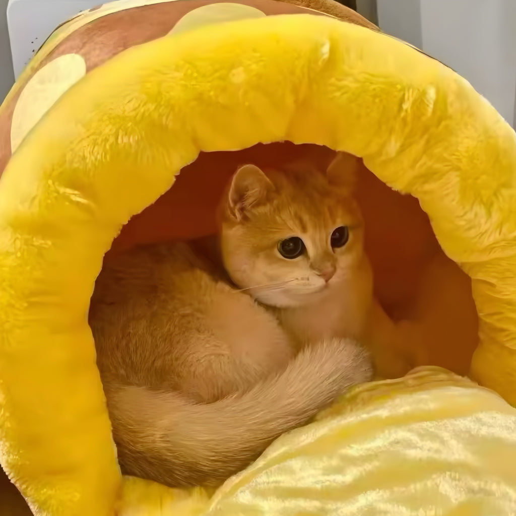 Kuscheliges Katzenbett im Honigtopf-Design